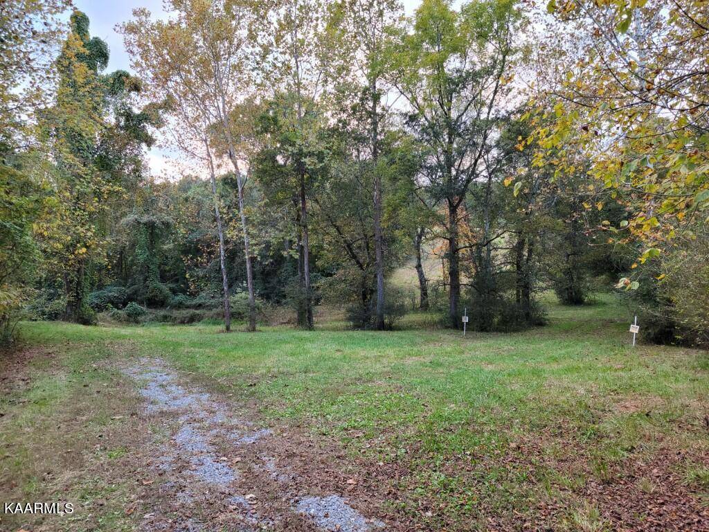 Spring City, TN 37381,10.5 Acres Dawn Drive