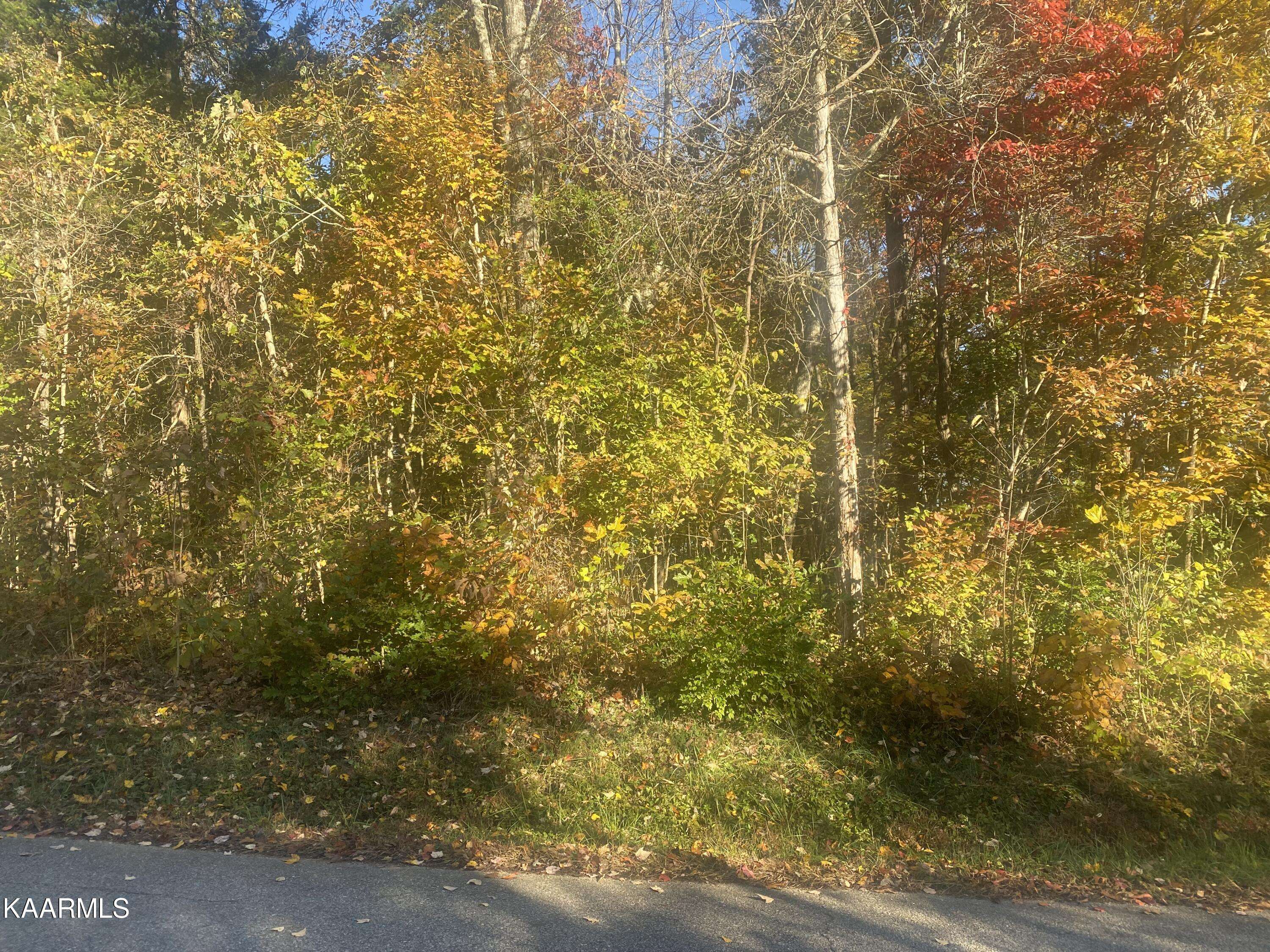 Lenoir City, TN 37771,Lot 24 Scenic Hill LN