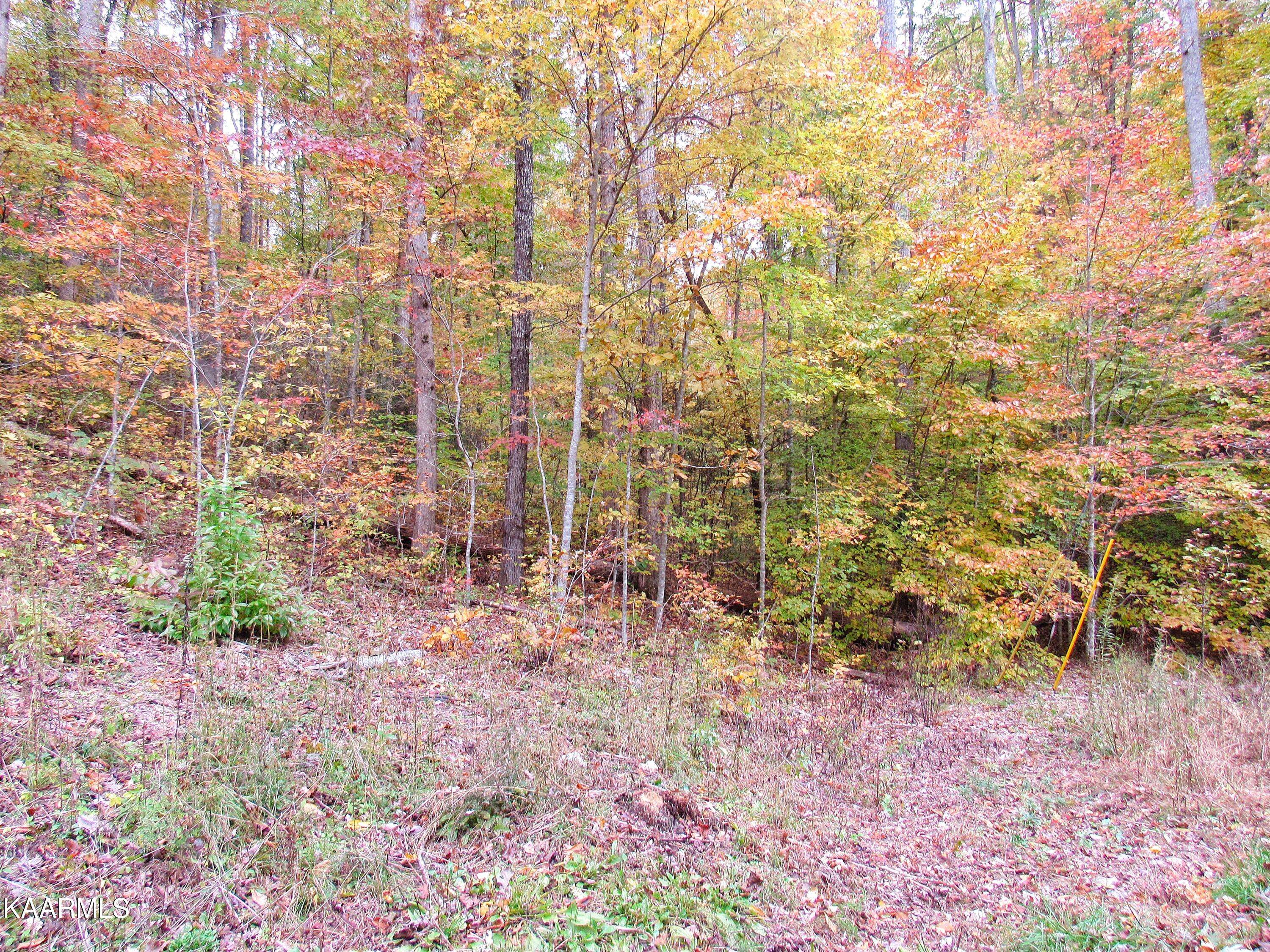 Gatlinburg, TN 37738,Lot 92 Pinnacle Vista Road