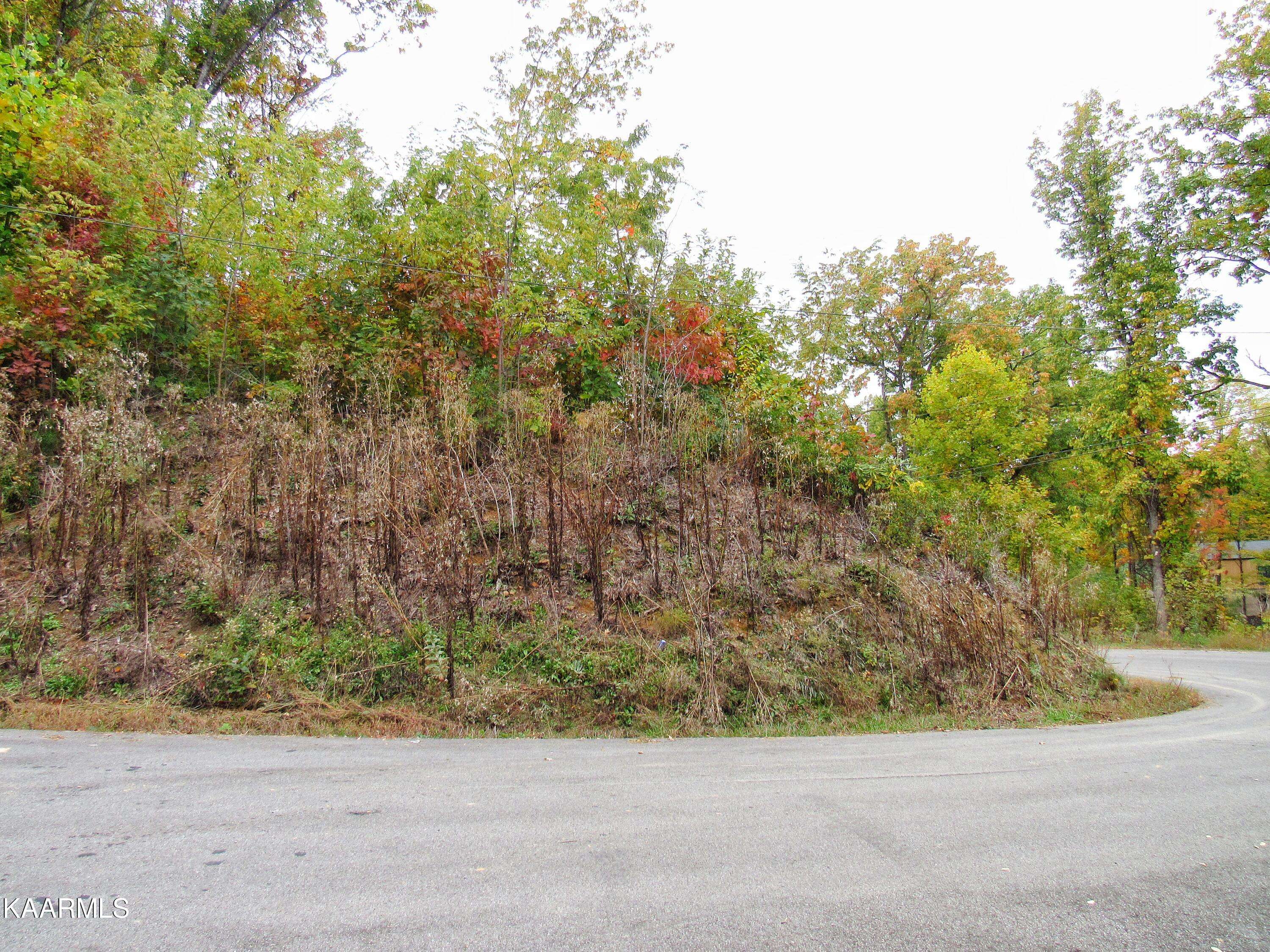 Gatlinburg, TN 37738,Lot 301 Chestnut DR