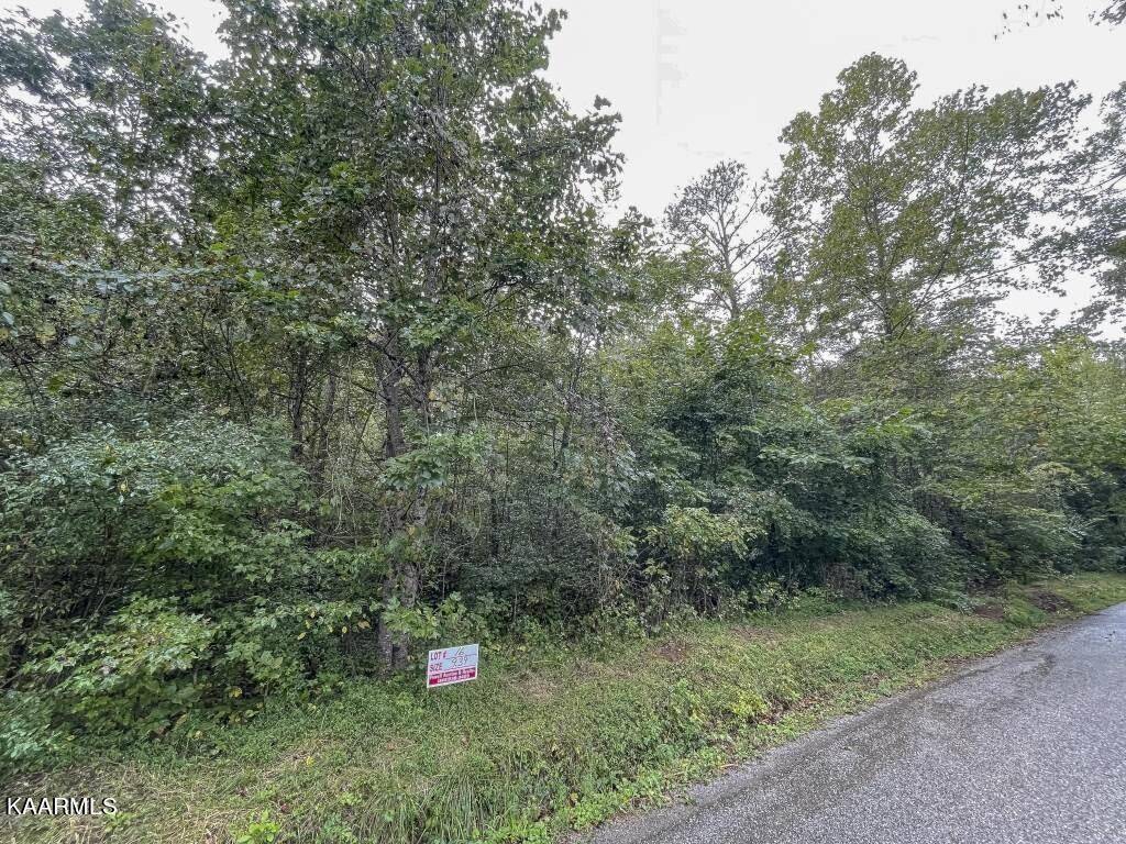 Ten Mile, TN 37880,Lot 16 Maple Grove Rd