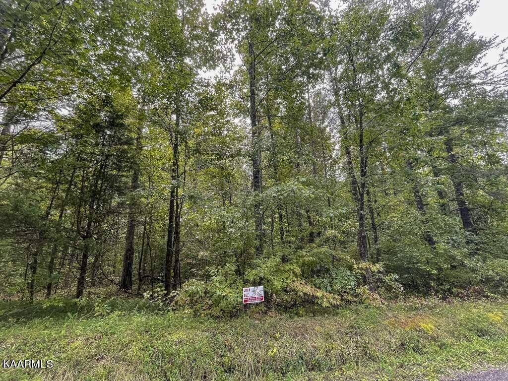 Ten Mile, TN 37880,Lot 22 Maple Grove Rd