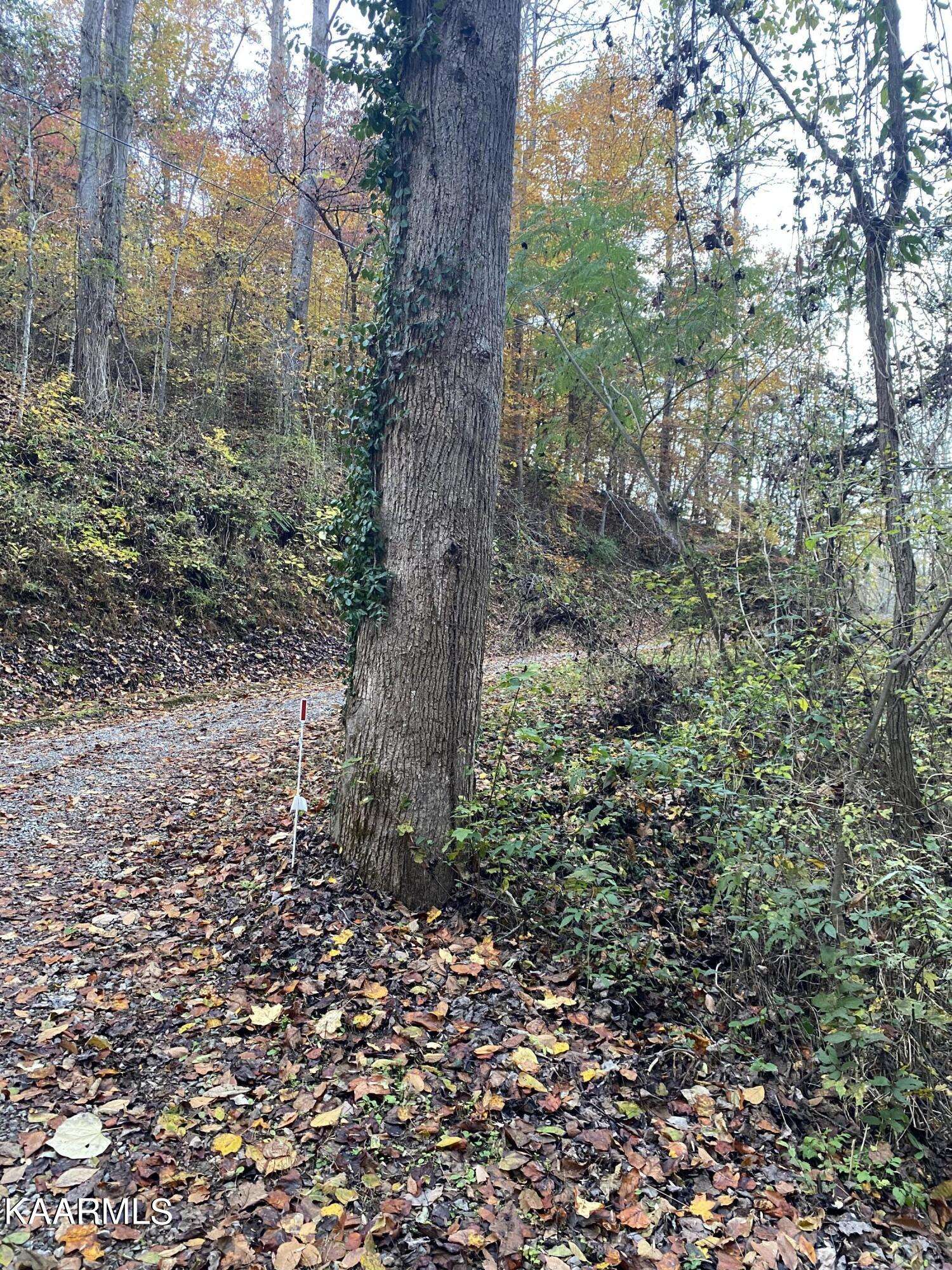 Walland, TN 37886,Chestnut Ridge  (Lot 17) Rd