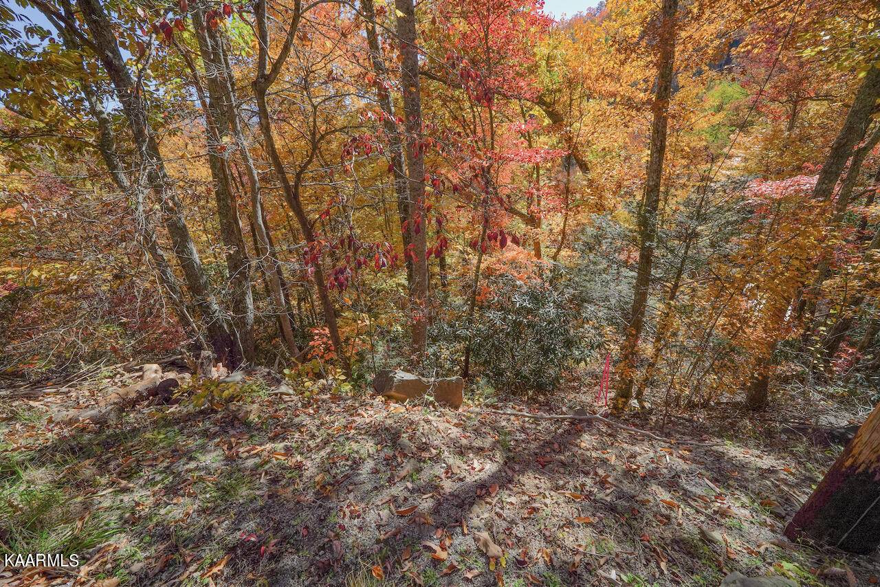 Gatlinburg, TN 37738,Lot 15 Heiden Circle