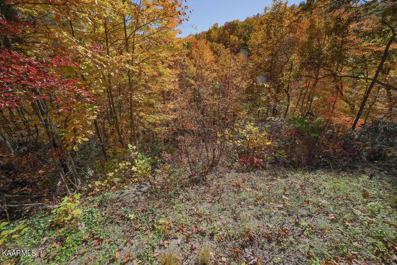 Gatlinburg, TN 37738,Lot 15 Heiden Circle