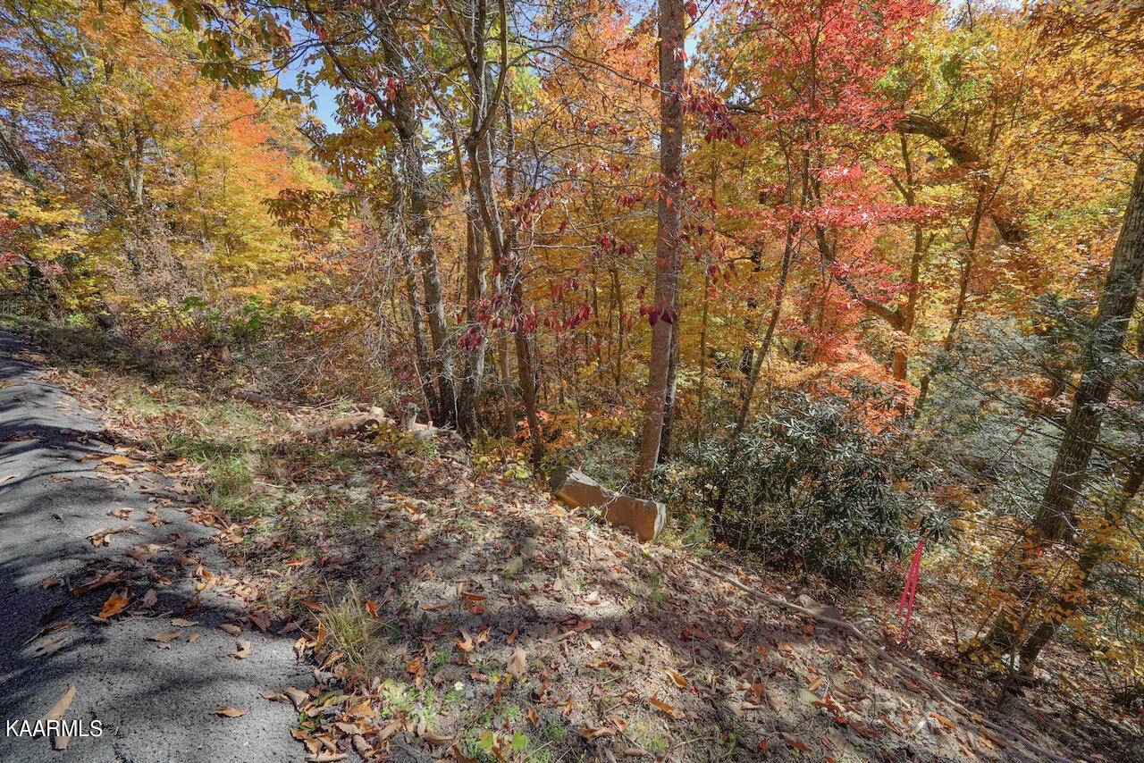 Gatlinburg, TN 37738,Lot 15 Heiden Circle