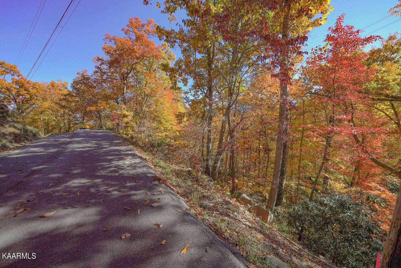 Gatlinburg, TN 37738,Lot 15 Heiden Circle