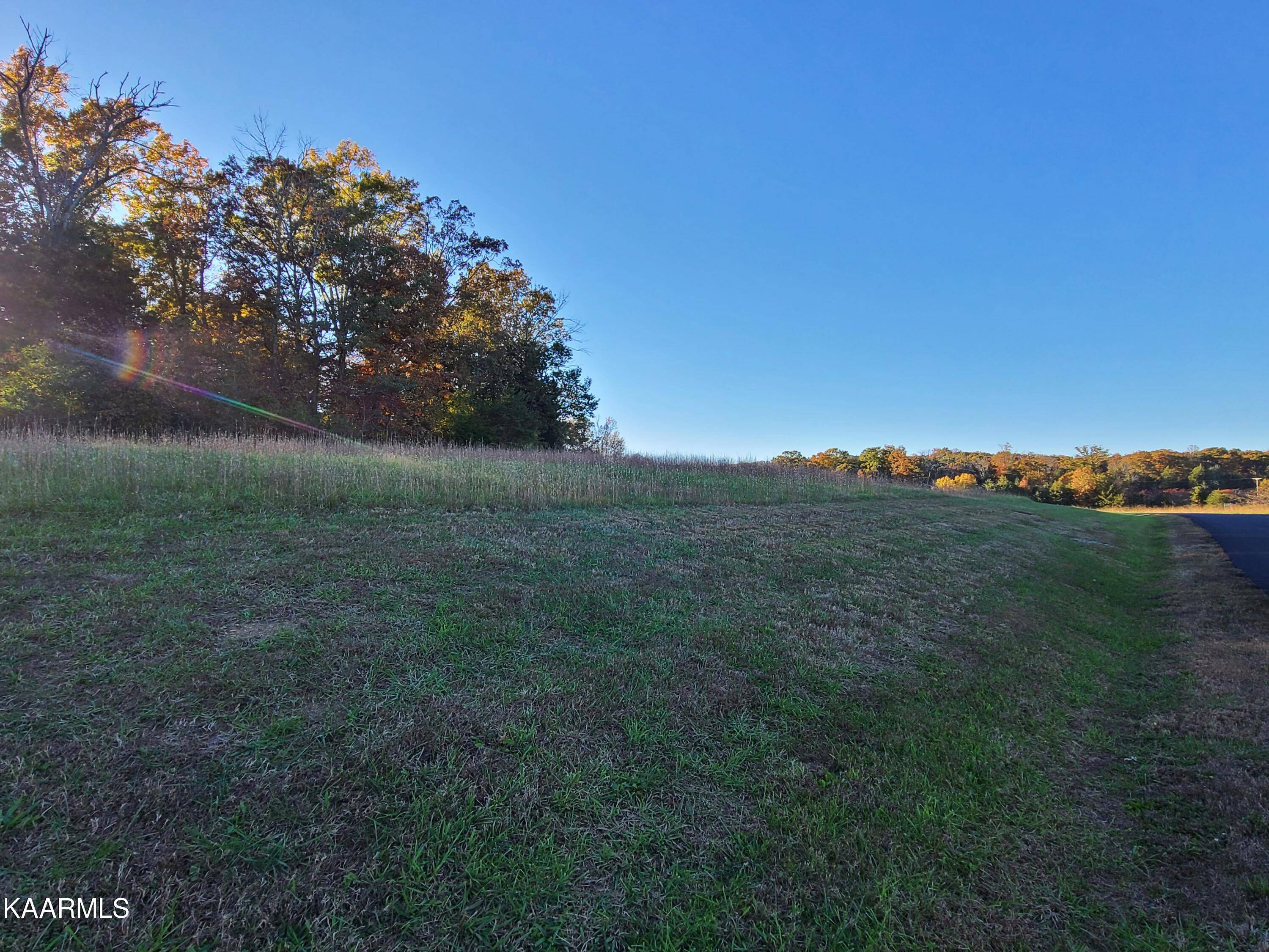 Rockwood, TN 37854,3.46 Ac Shore DR