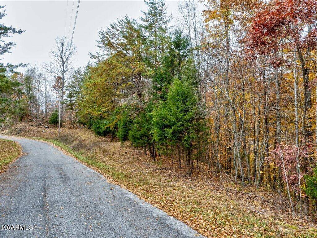 New Tazewell, TN 37825,Lot 92 Ridgecrest Rd