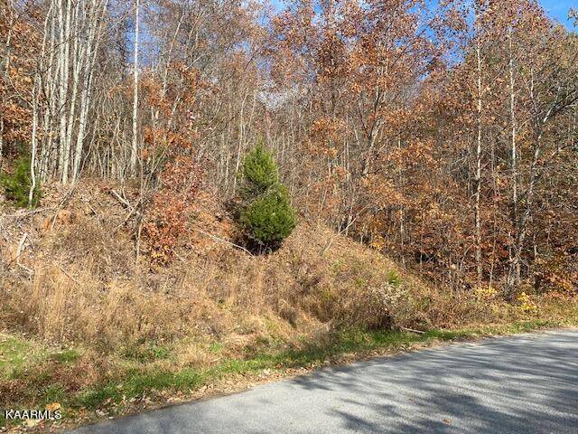 Tazewell, TN 37879,Chimney Rock Rd