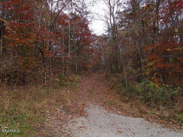 Rutledge, TN 37861,545 Kettle Hollow Rd