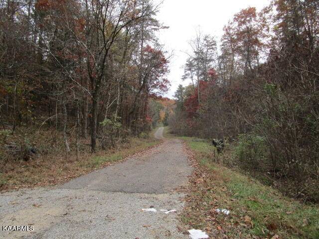 Rutledge, TN 37861,545 Kettle Hollow Rd