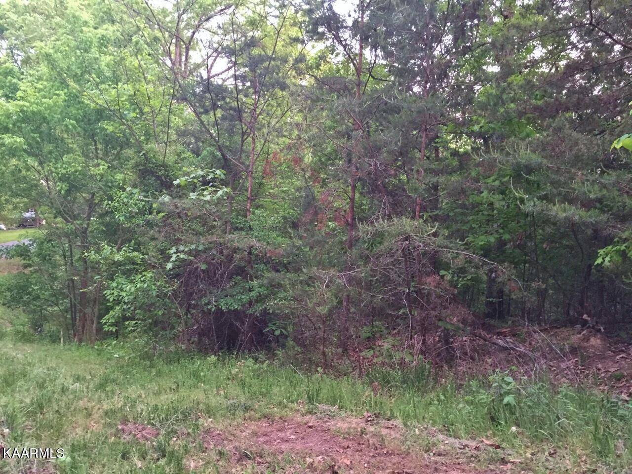 Parrottsville, TN 37843,Lot 29 Oak Hammock LN