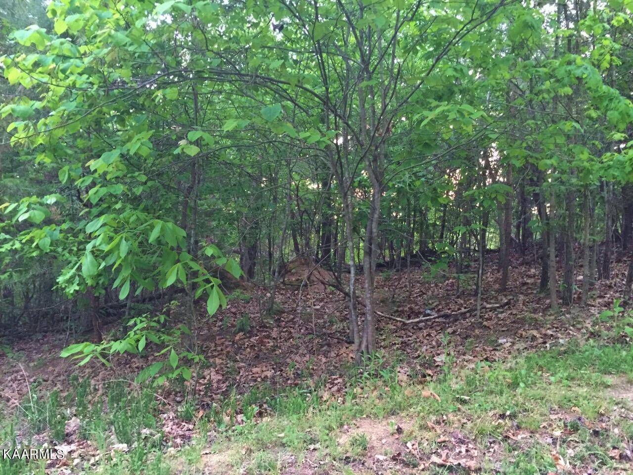 Parrottsville, TN 37843,Lot 29 Oak Hammock LN