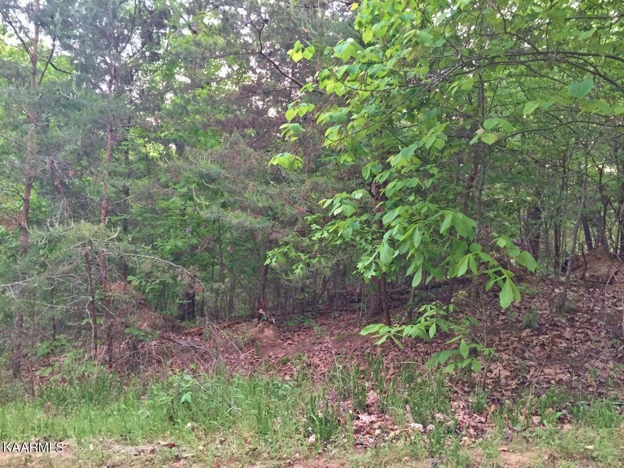 Parrottsville, TN 37843,Lot 29 Oak Hammock LN