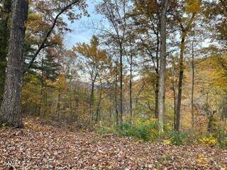 Sevierville, TN 37876,Mountain Trail Lane