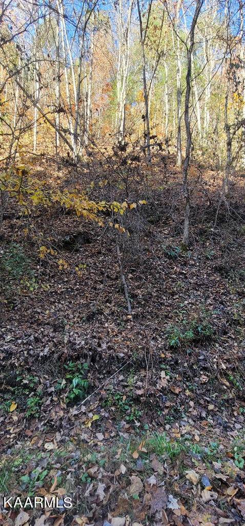 Sevierville, TN 37862,Lot 56/57 Hidden Hollow Way