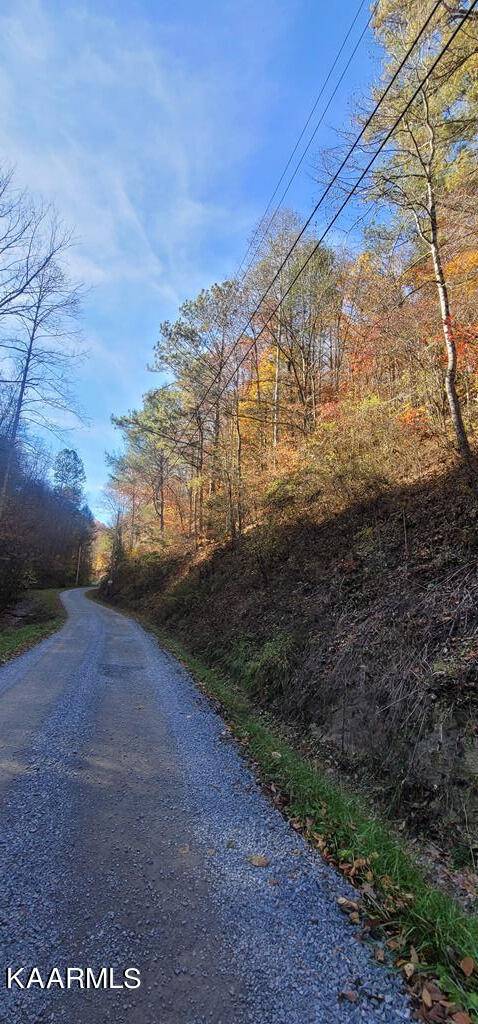 Sevierville, TN 37862,Lot 56/57 Hidden Hollow Way