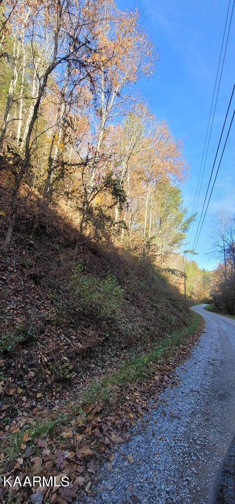 Sevierville, TN 37862,Lot 56/57 Hidden Hollow Way