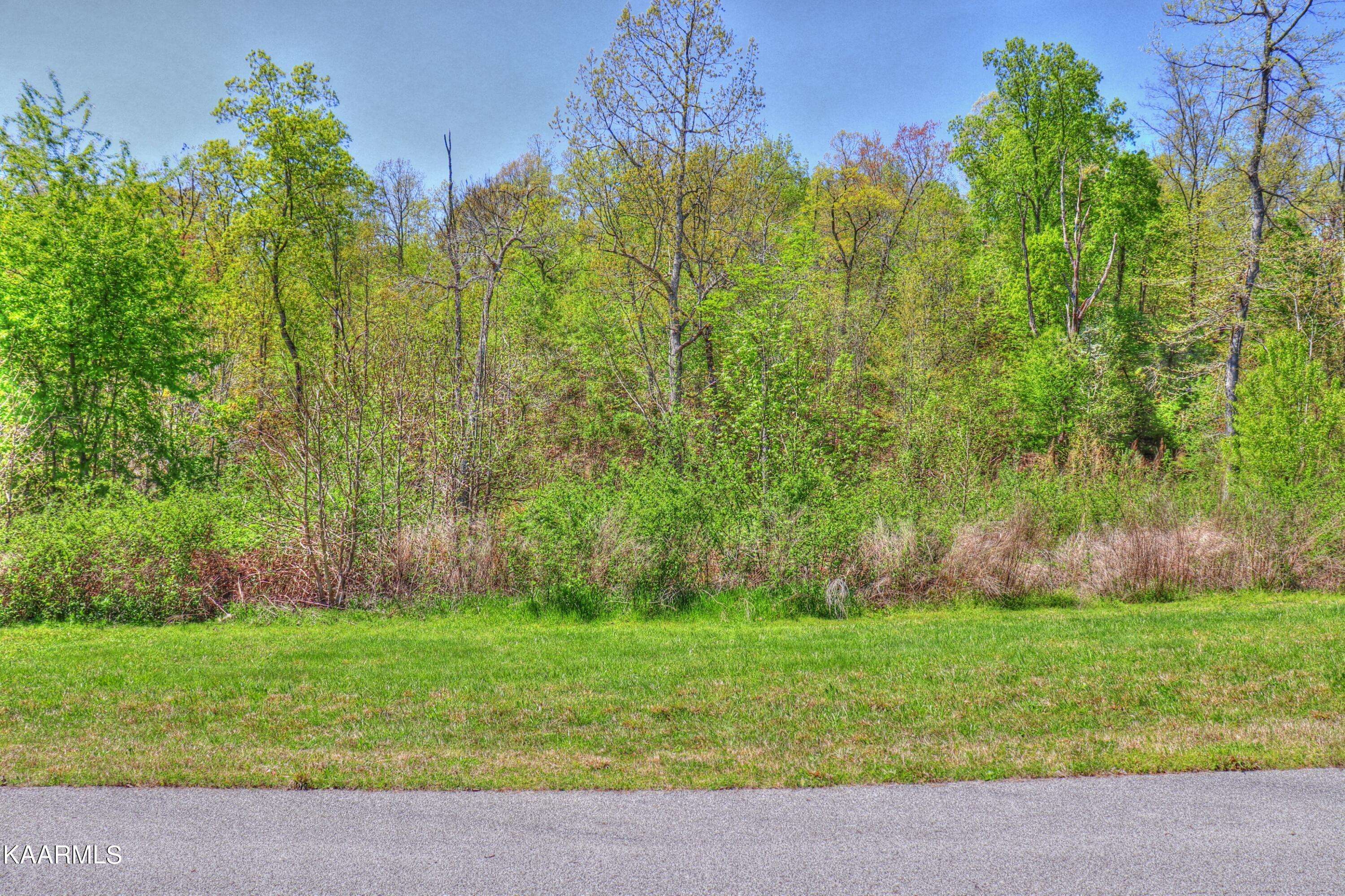 Rockwood, TN 37854,Lot 361 Water View DR