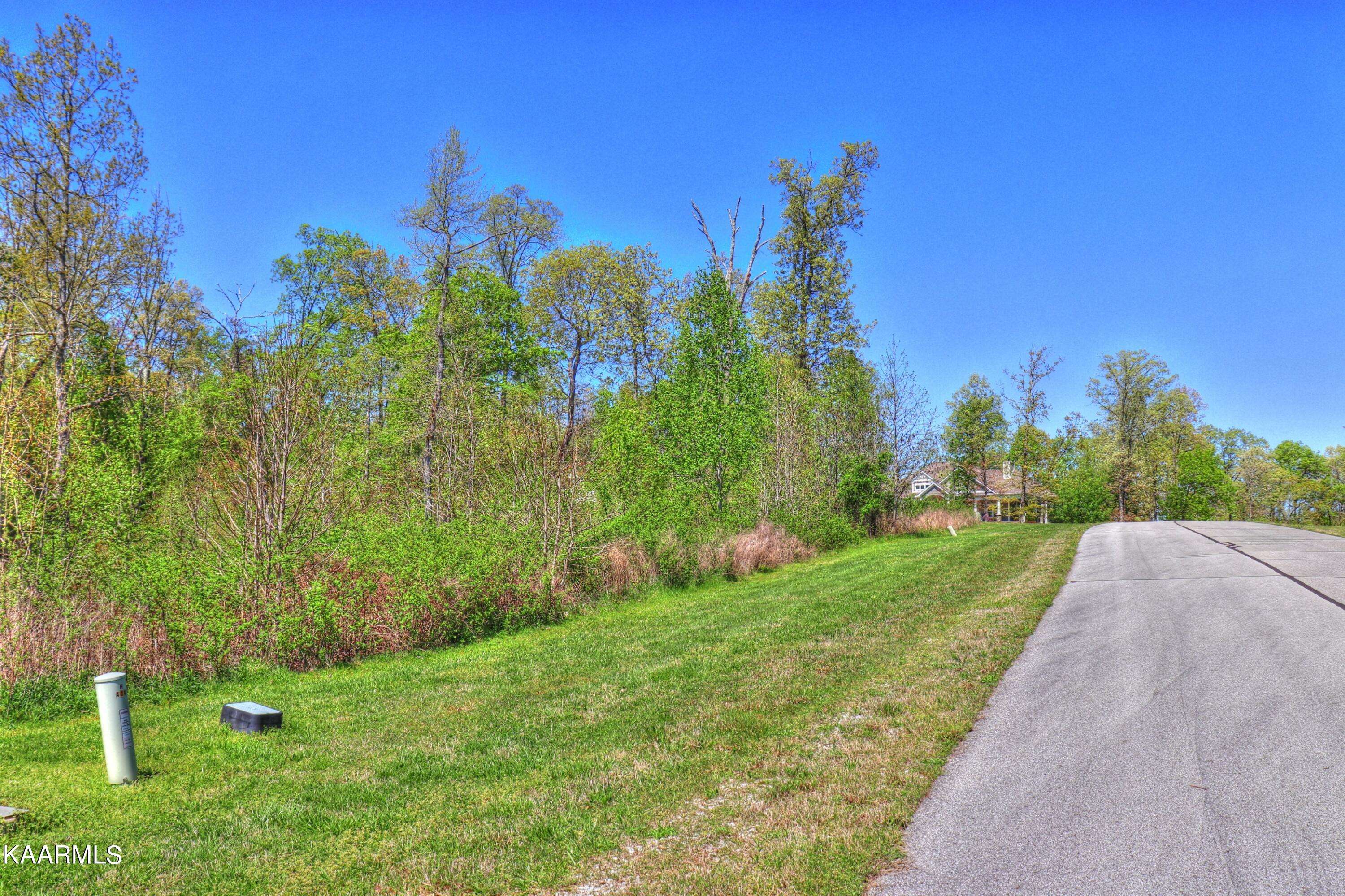 Rockwood, TN 37854,Lot 361 Water View DR