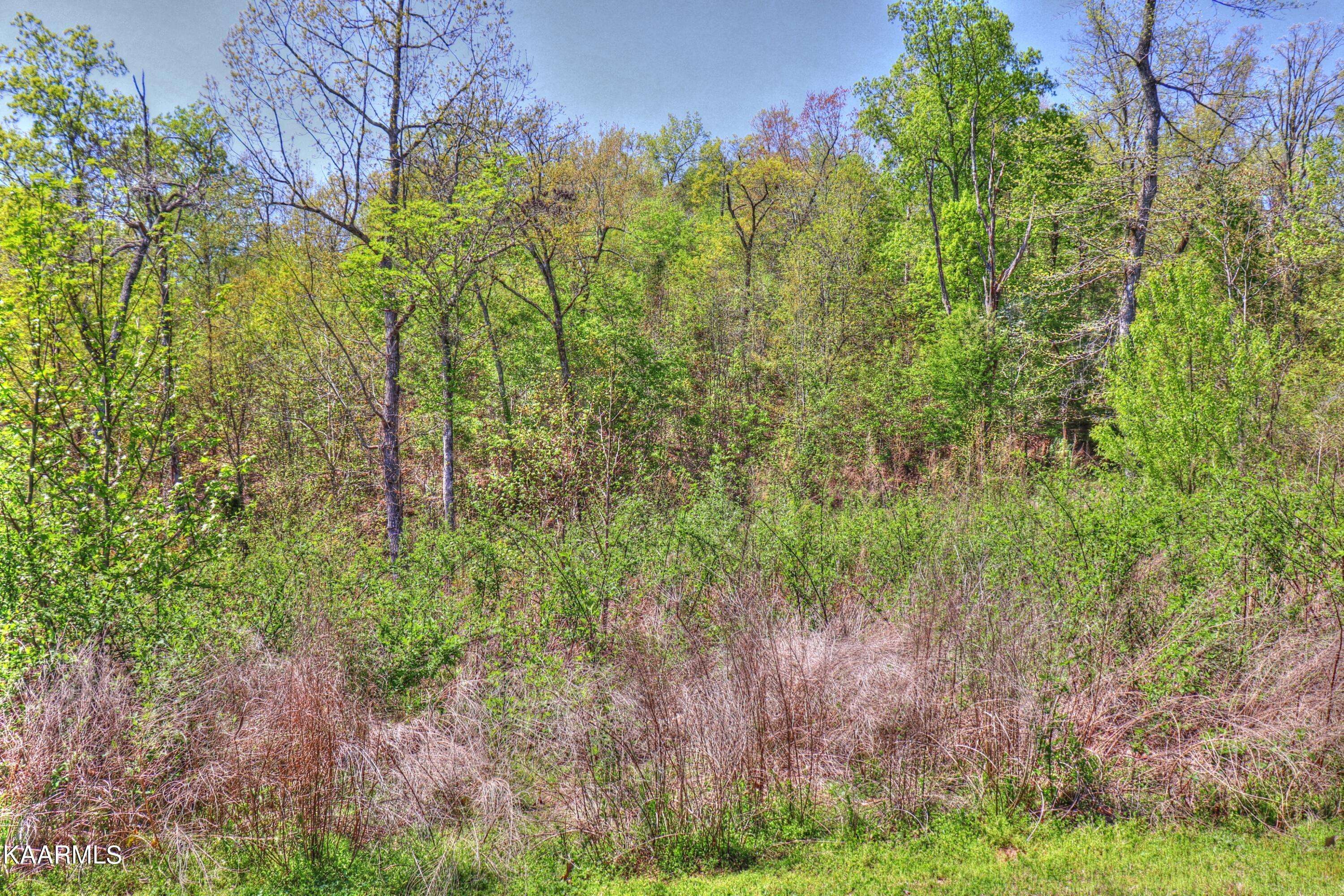 Rockwood, TN 37854,Lot 361 Water View DR