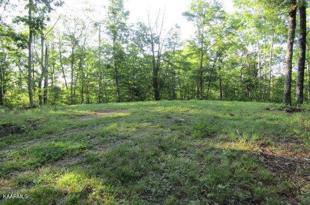 Harriman, TN 37748,36 Green Ridge Tr