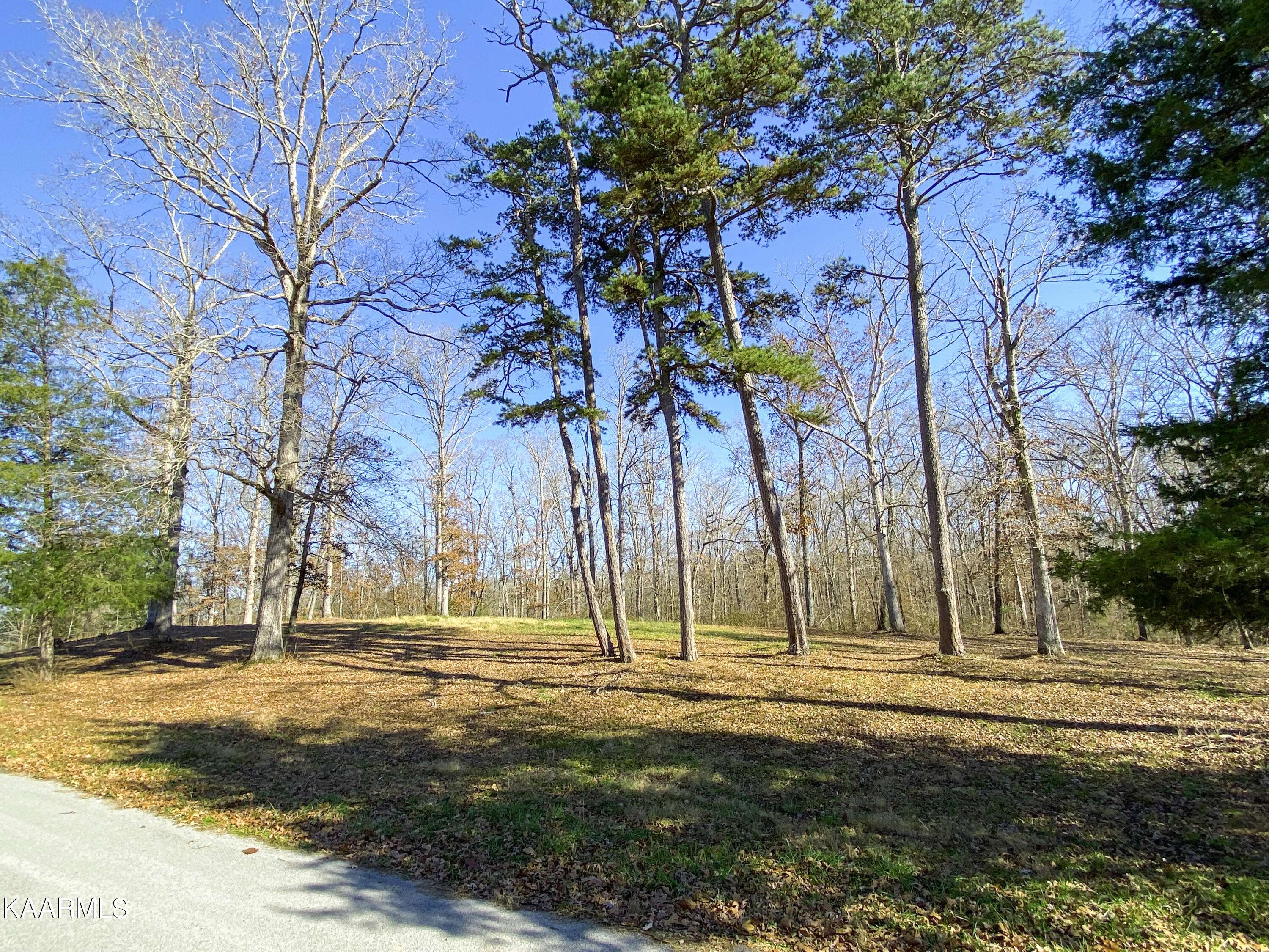 Decatur, TN 37322,Lot 11 Holly Glen Shores