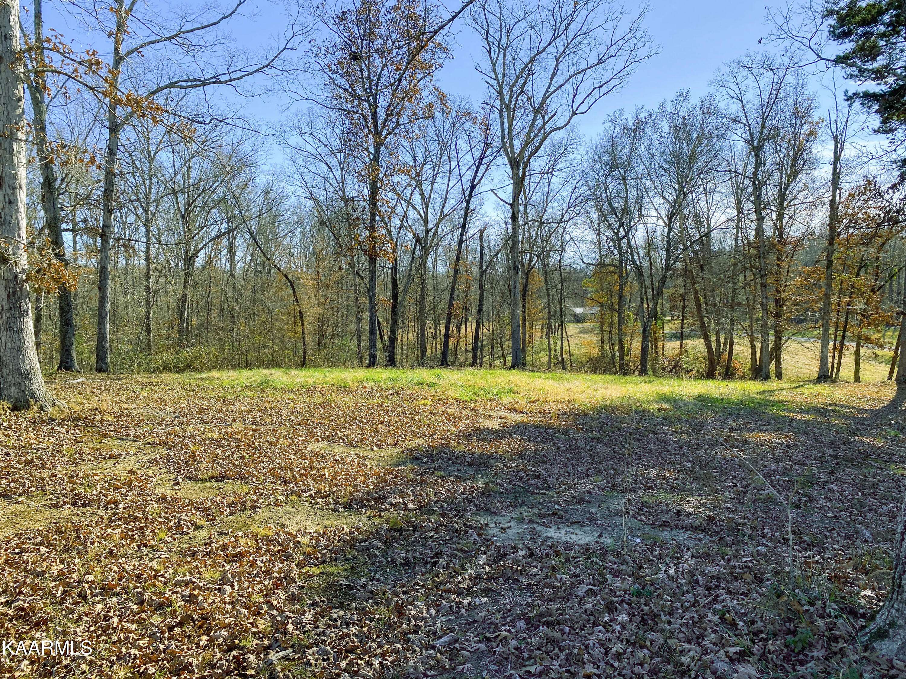 Decatur, TN 37322,Lot 11 Holly Glen Shores