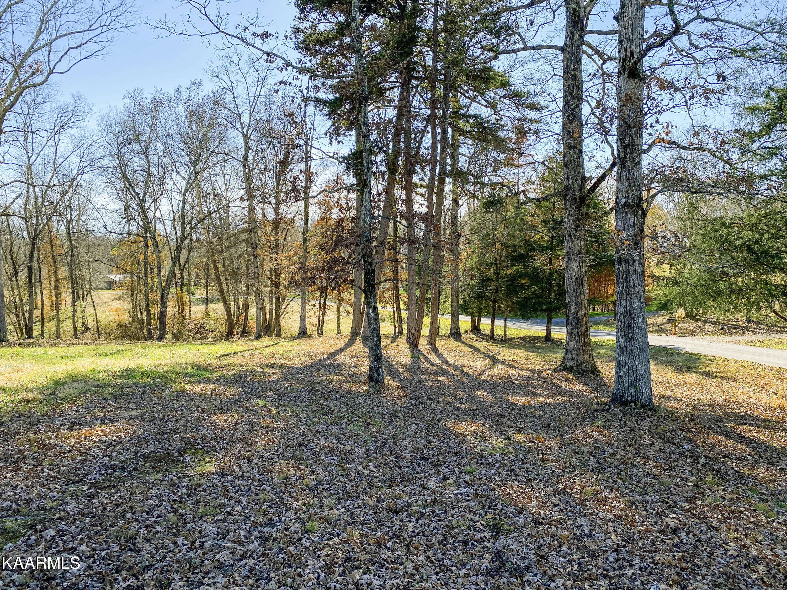 Decatur, TN 37322,Lot 11 Holly Glen Shores