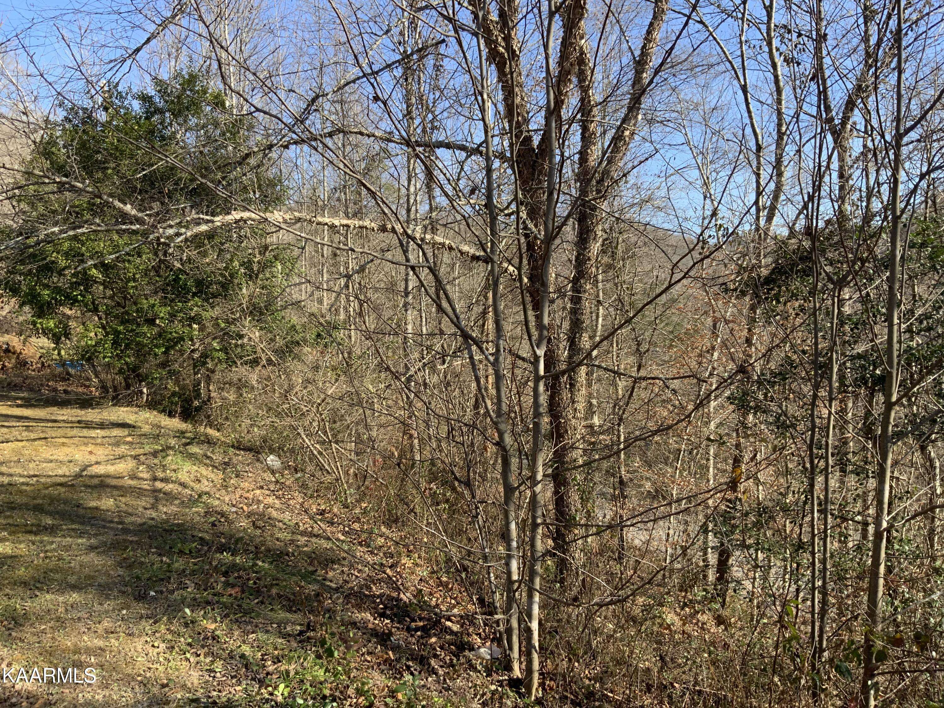 Pineville, KY 40977,69 Bingham LN