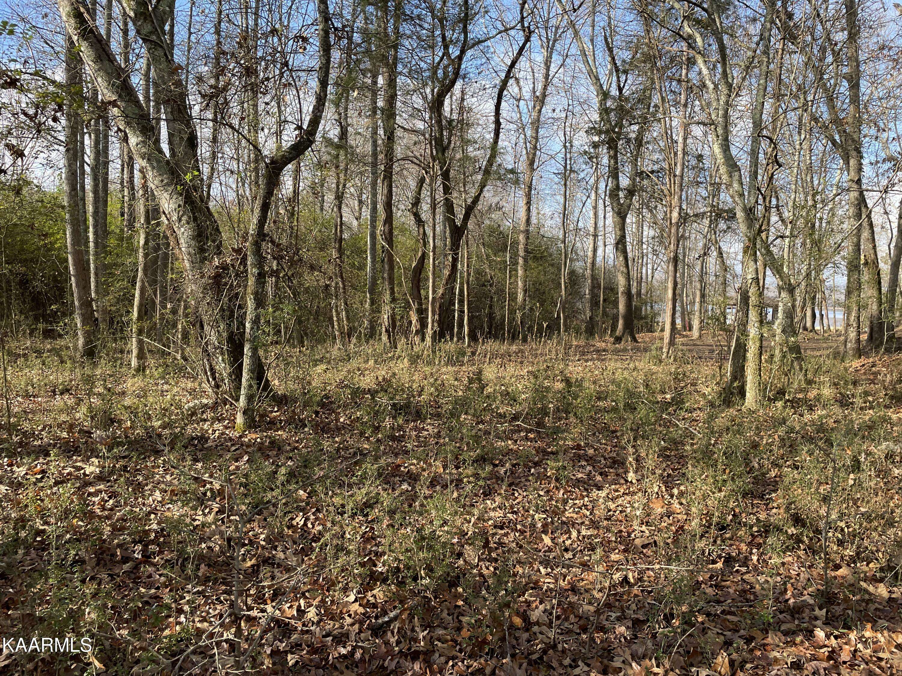 Rockwood, TN 37854,Lot 408 Mountain DR