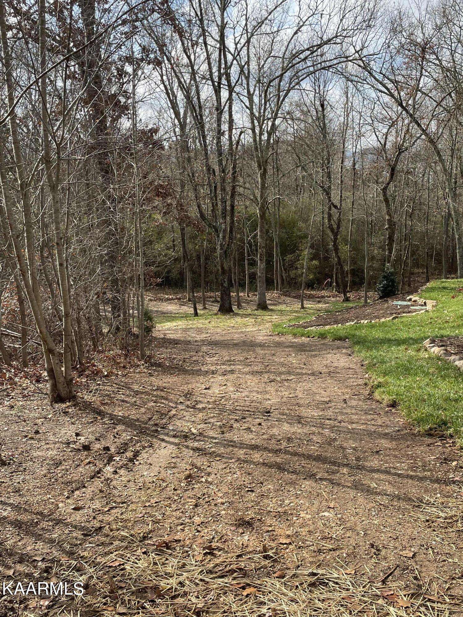 Rockwood, TN 37854,Lot 408 Mountain DR