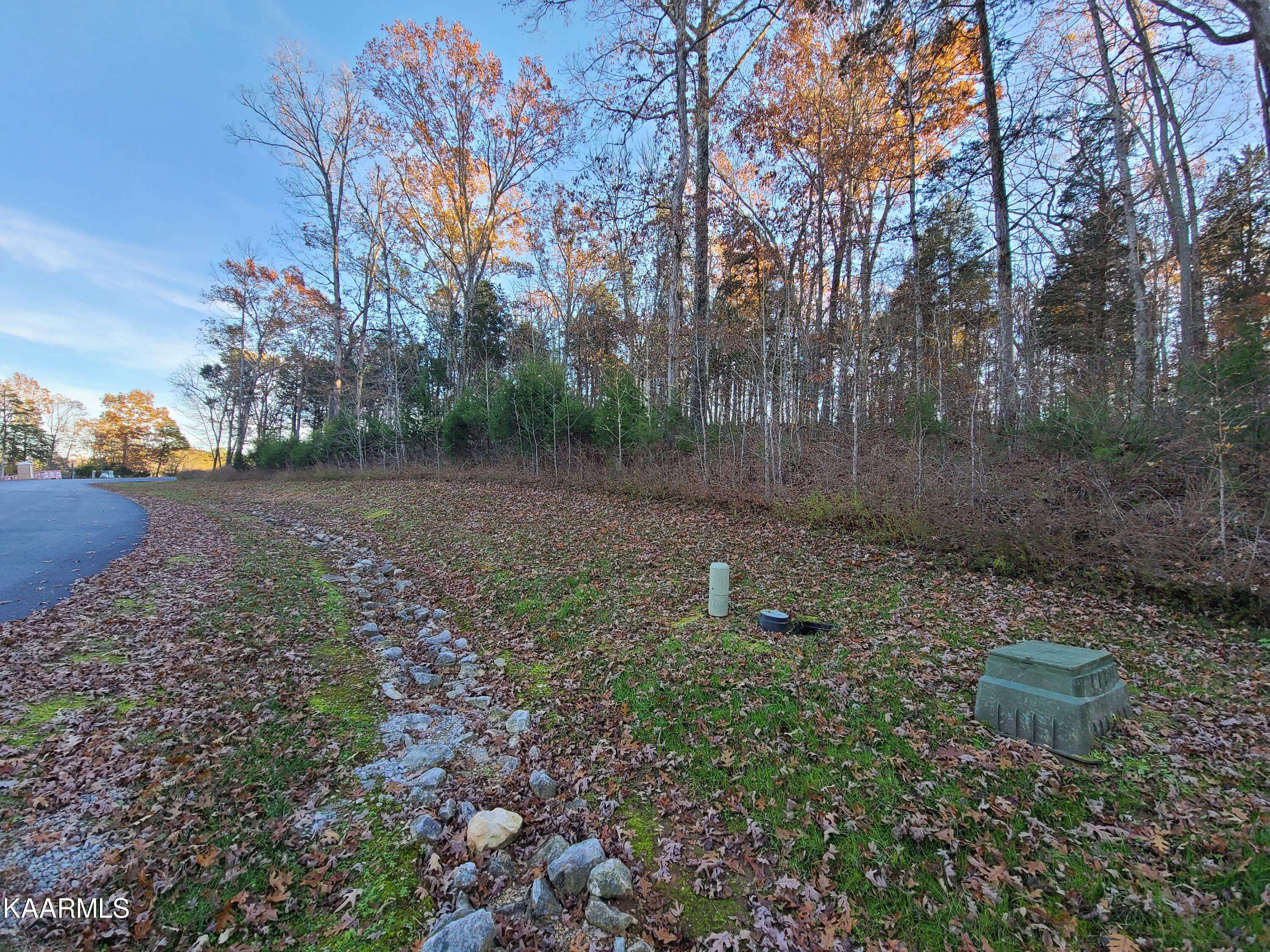 Rockwood, TN 37854,Lot 154 Shore DR