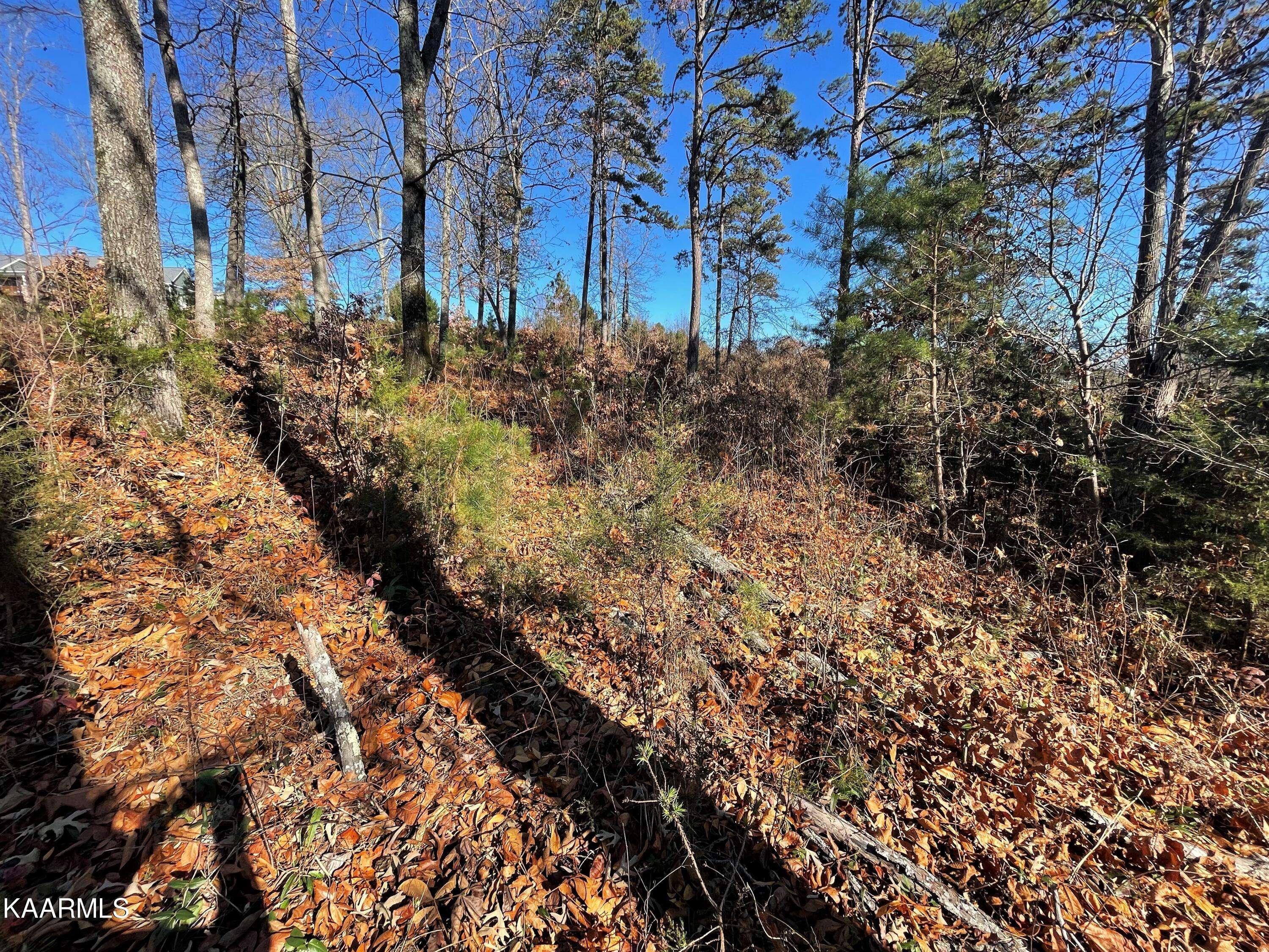 Rutledge, TN 37861,Lot 96 Cow Poke LN