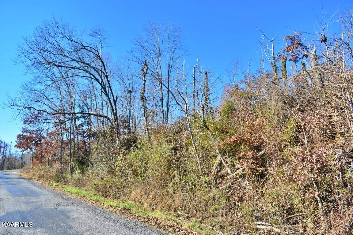 Spring City, TN 37381,Lots 1-4 Ewing Road