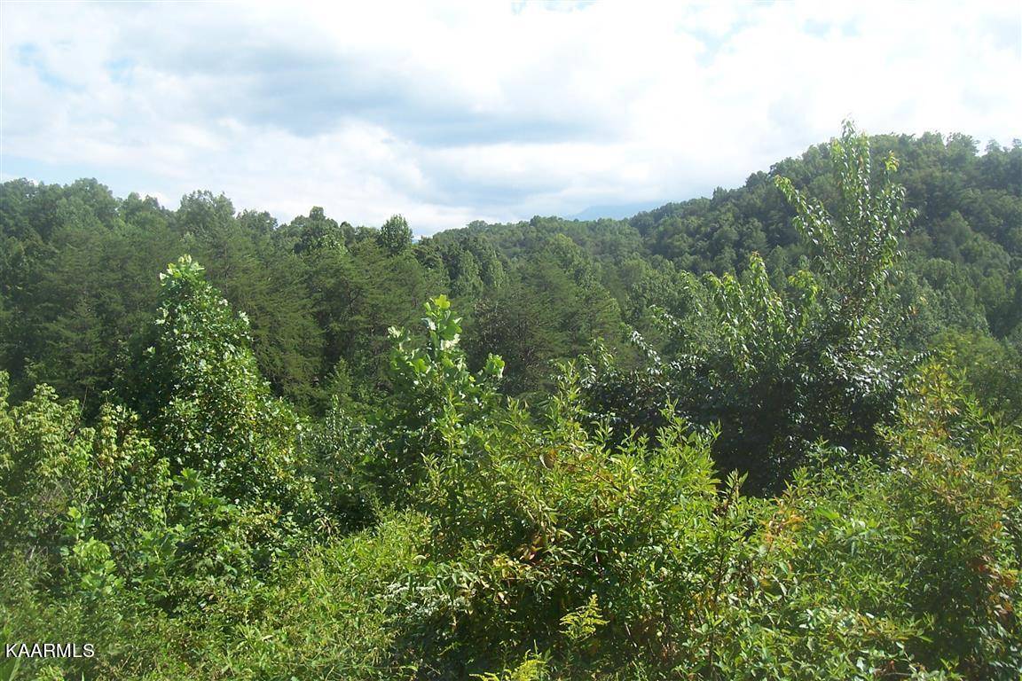 Sevierville, TN 37876,Upper Middle Creek Rd