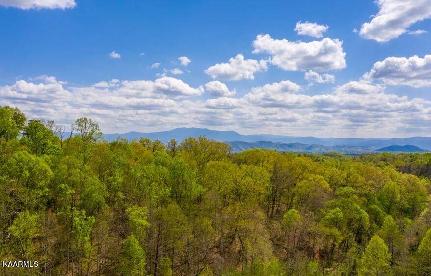 Sevierville, TN 37876,Upper Middle Creek Rd