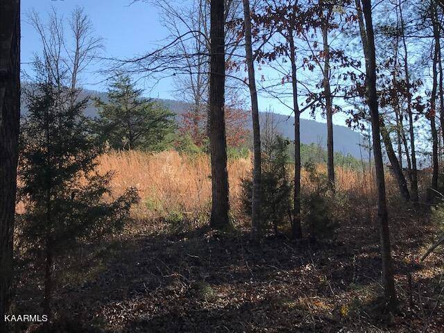 Etowah, TN 37331,5.3 ac County Road 875