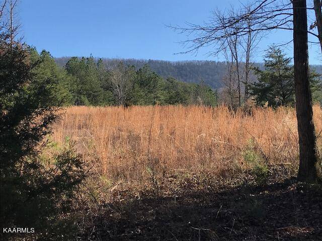 Etowah, TN 37331,5.3 ac County Road 875