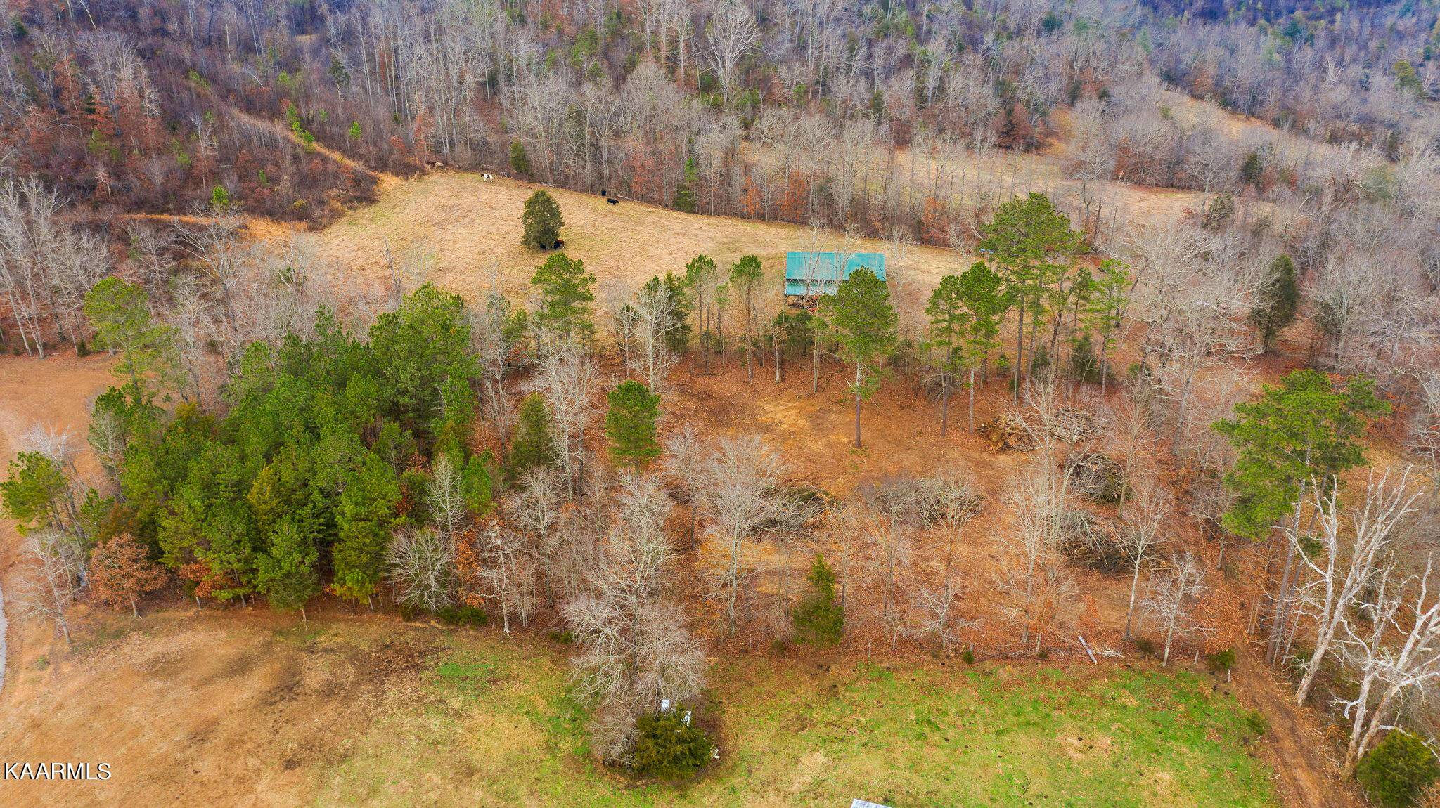 Riceville, TN 37370,000 County Road 47