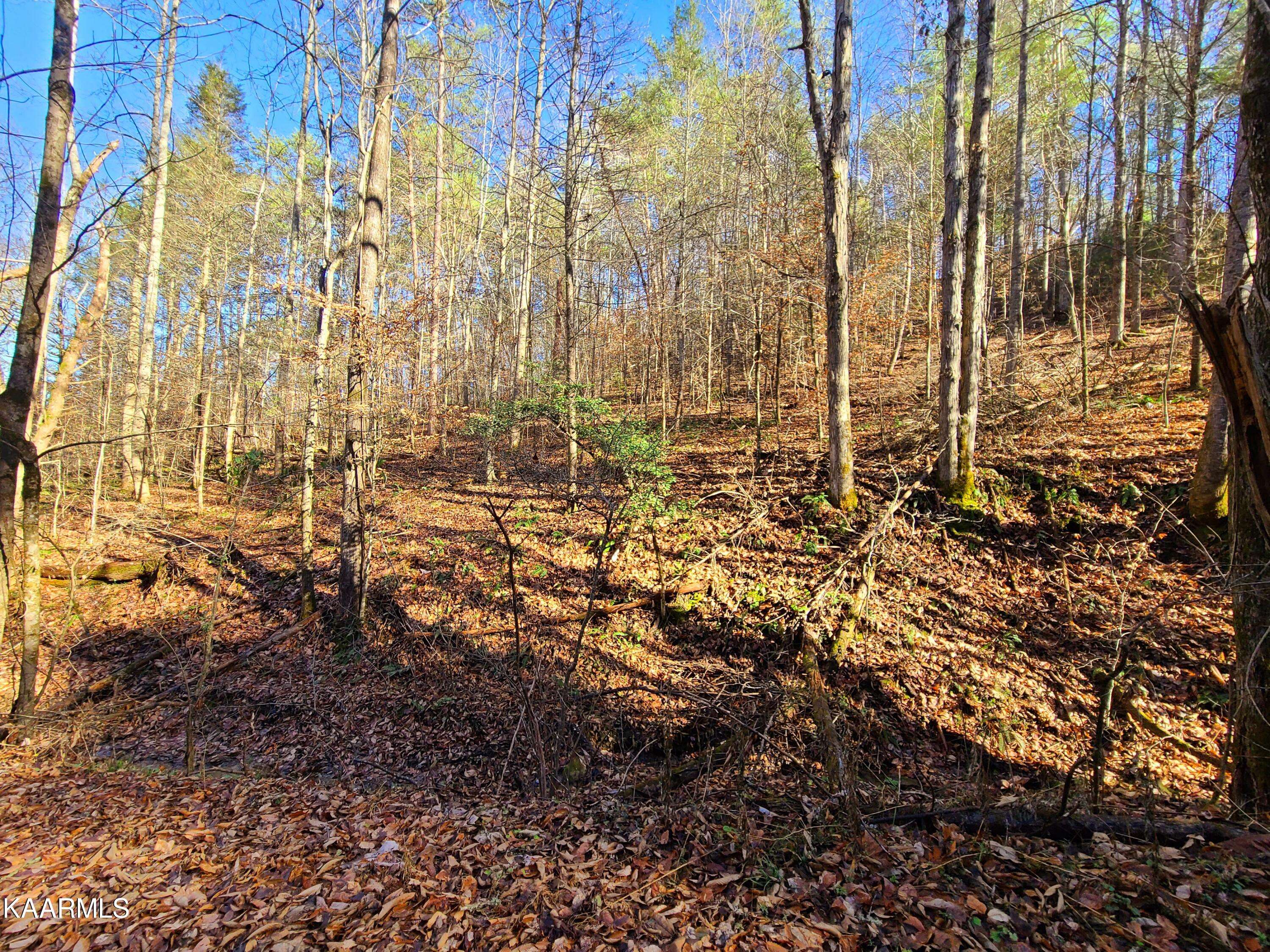 Sevierville, TN 37862,Lot 4 Walden Flats WAY