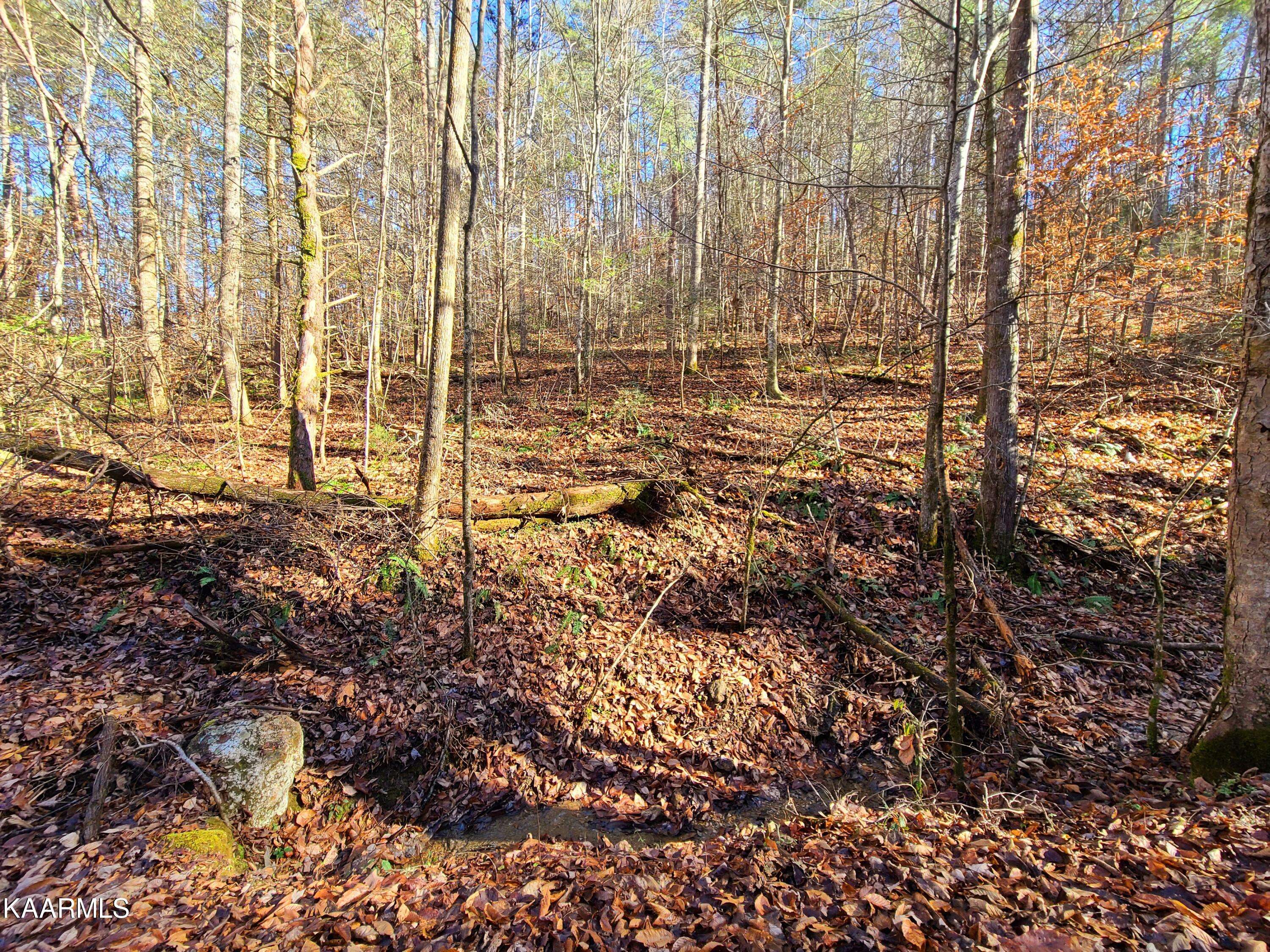 Sevierville, TN 37862,Lot 4 Walden Flats WAY