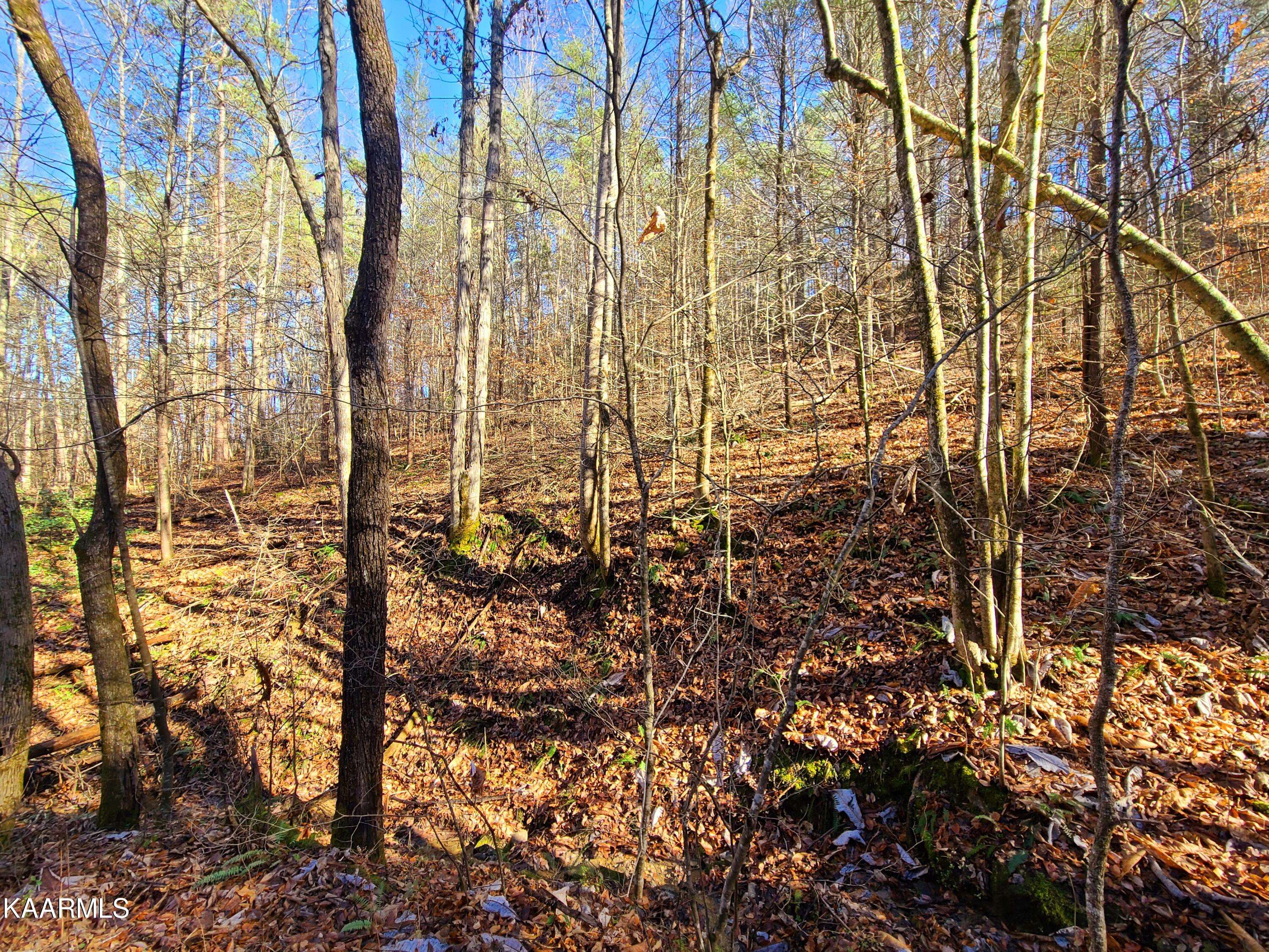 Sevierville, TN 37862,Lot 4 Walden Flats WAY