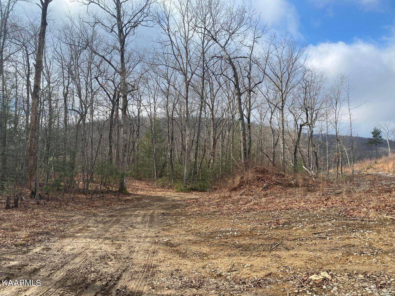 Crab Orchard, TN 37723,Smith Mountain Rd