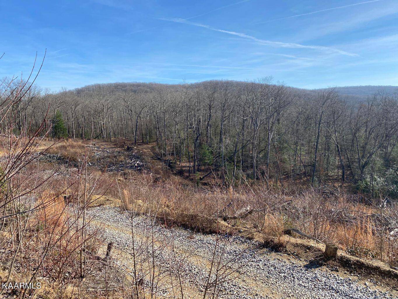 Crab Orchard, TN 37723,Smith Mountain Rd