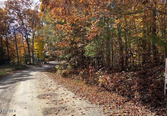 Tellico Plains, TN 37385,Rafter Rd