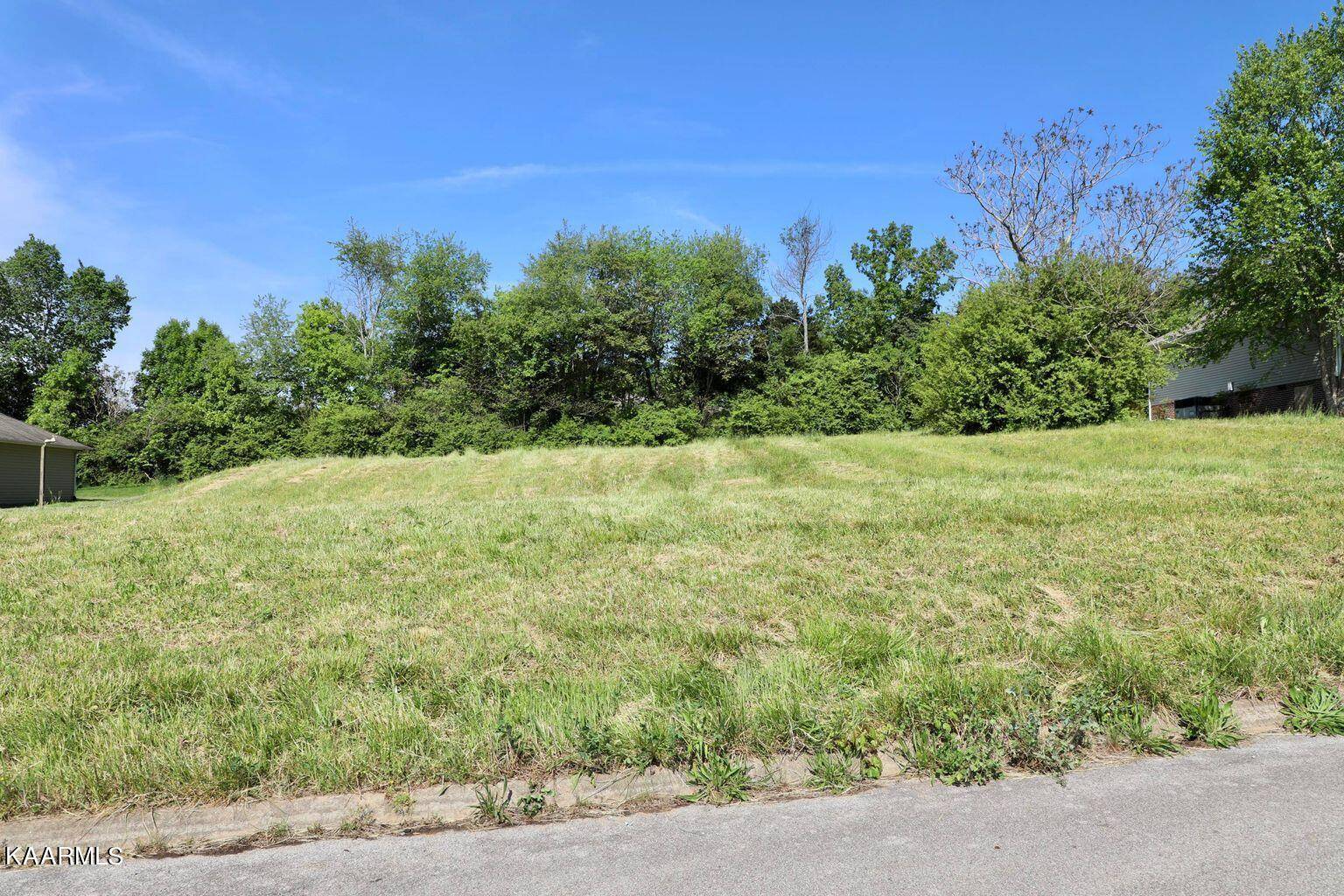 Madisonville, TN 37354,Lot 18 Timber Ridge DR