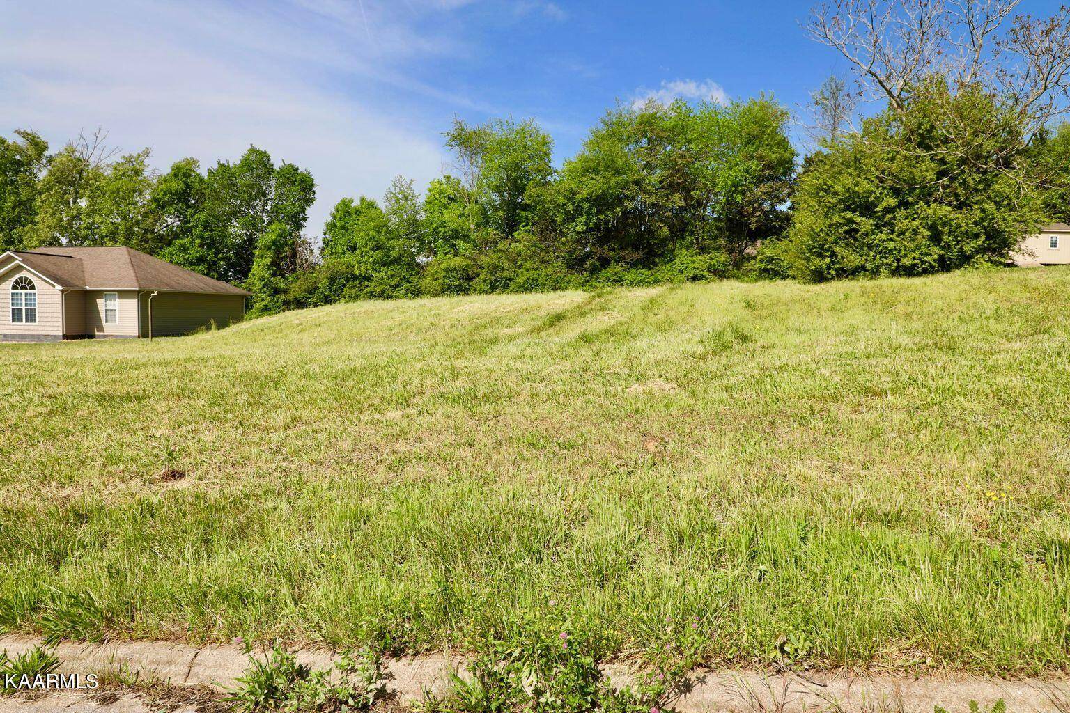 Madisonville, TN 37354,Lot 18 Timber Ridge DR