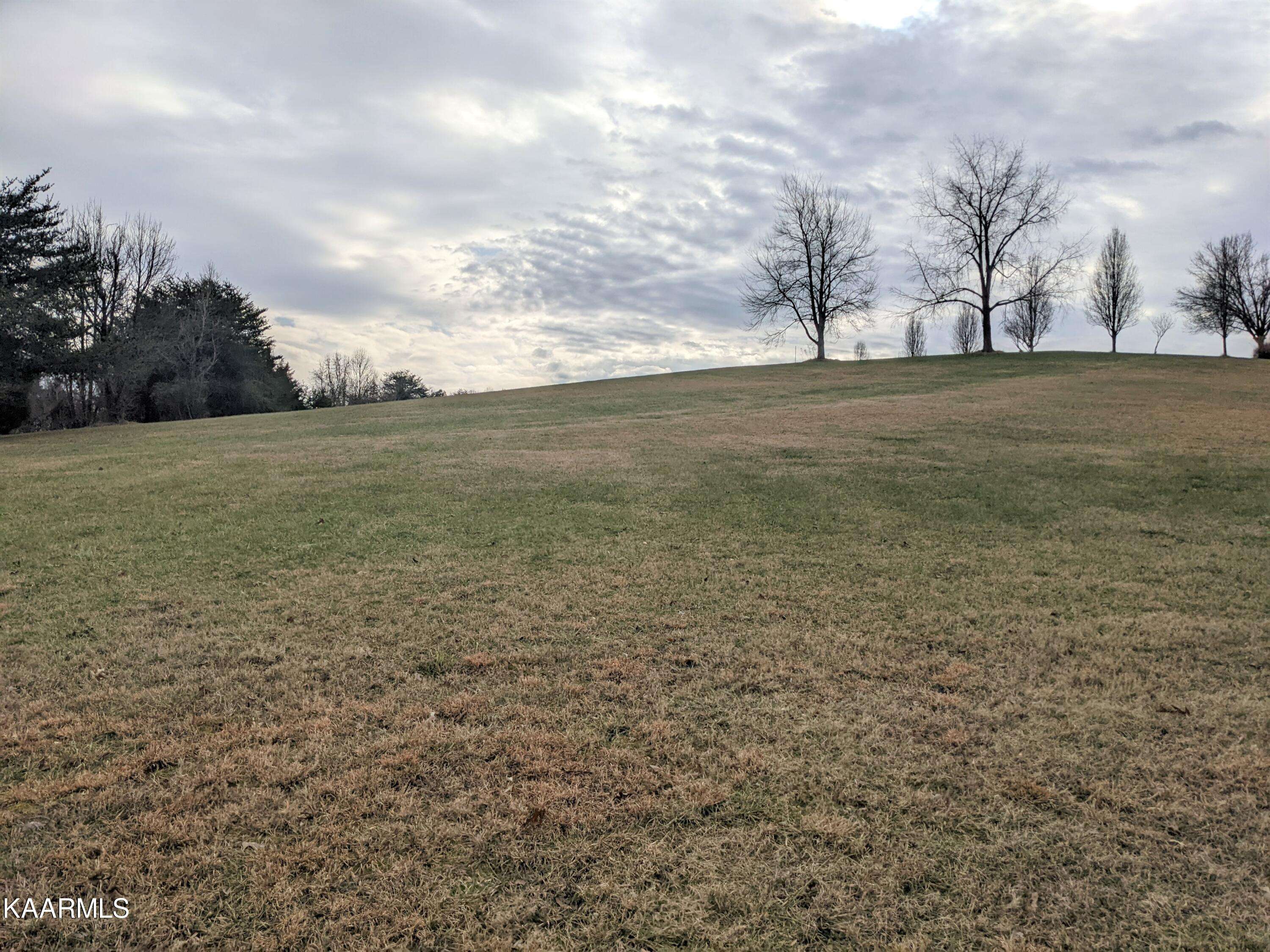 Baneberry, TN 37890,Lot 1 Mountain View Ln